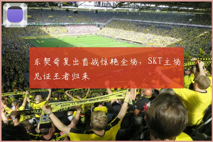 东契奇复出首战惊艳全场，SKT主场见证王者归来