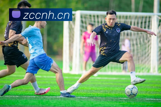 开云体育入口数据分析